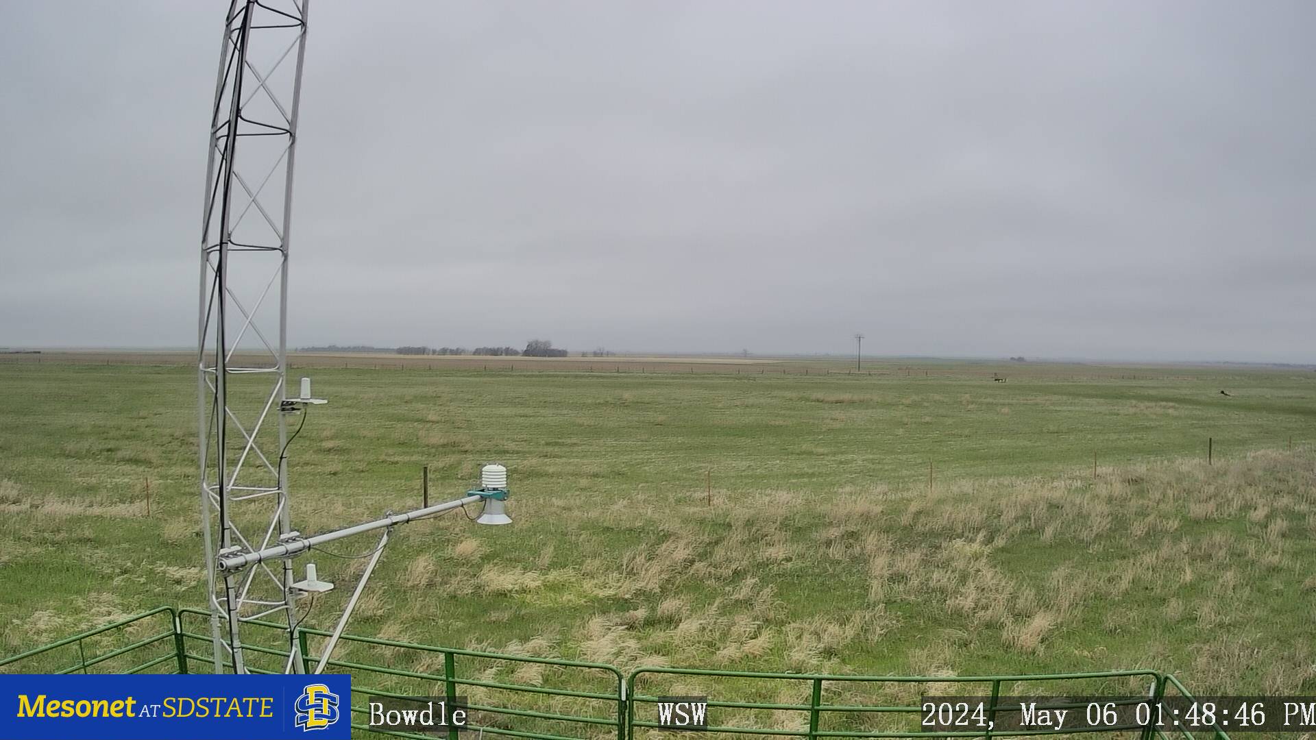 Image showing local conditions from camera mounted on weather station.